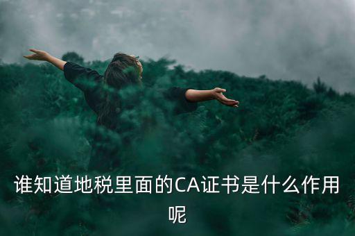 稅務(wù)企業(yè)ca登錄是什么意思，網(wǎng)上報(bào)稅CA驗(yàn)證系統(tǒng)是甚么