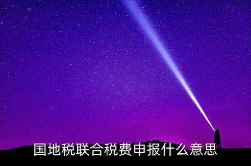 國稅地稅聯(lián)合有什么用，國地稅聯(lián)合稅費申報什么意思