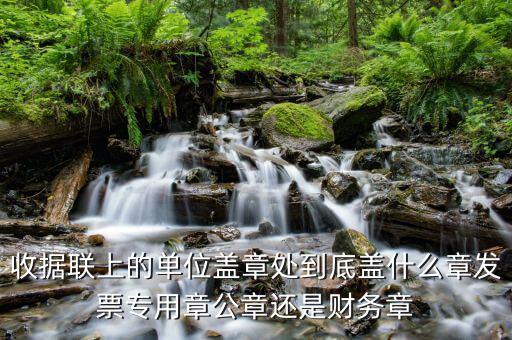 收據(jù)上面蓋什么章，收款收據(jù)上蓋什么章是財(cái)務(wù)章還是公章