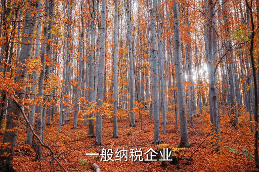 什么是增值稅一般納稅企業(yè)，什么是一般納稅人公司
