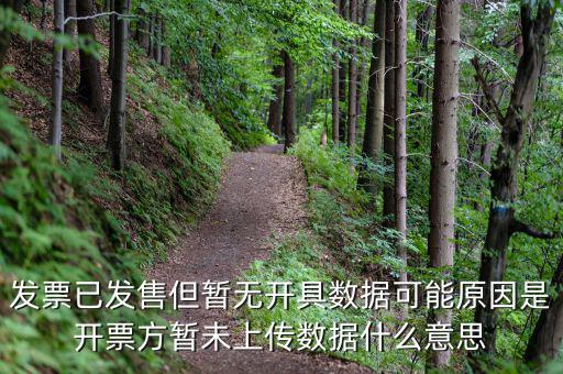 百旺的開票未上傳是什么意思，發(fā)票已發(fā)售但暫無開具數(shù)據(jù)可能原因是開票方暫未上傳數(shù)據(jù)什么意思