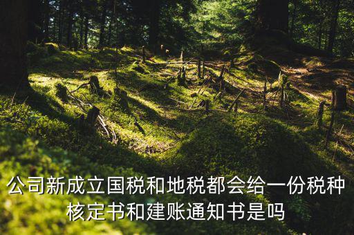 公司新成立國稅和地稅都會(huì)給一份稅種核定書和建賬通知書是嗎