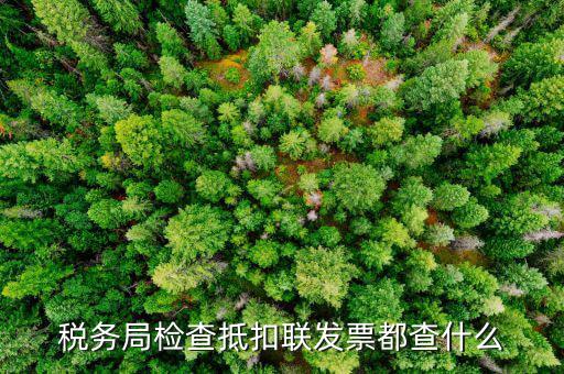 稅務局檢查抵扣聯(lián)發(fā)票都查什么