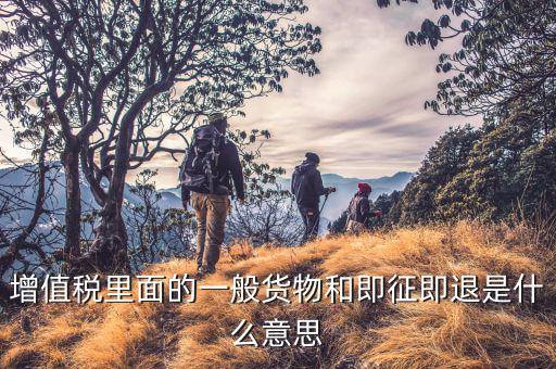 什么叫即征即退政策，增值稅里面的一般貨物和即征即退是什么意思