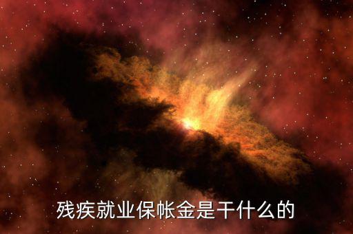 殘疾人保障金有什么用，殘疾就業(yè)保帳金是干什么的
