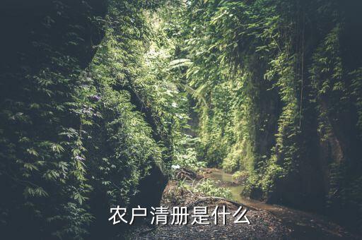 辦稅事項(xiàng)清冊(cè)是什么，會(huì)計(jì)檔案移交清冊(cè)什么意思