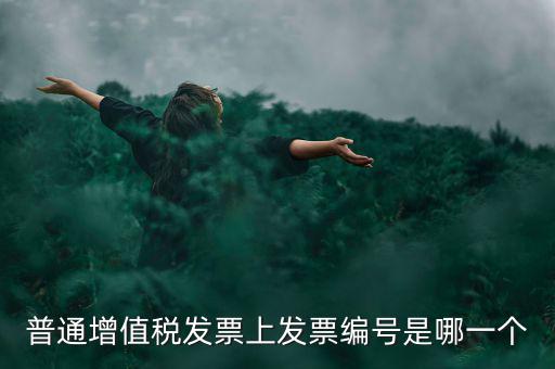 增值稅編號(hào)是什么，普通增值稅發(fā)票上發(fā)票編號(hào)是哪一個(gè)