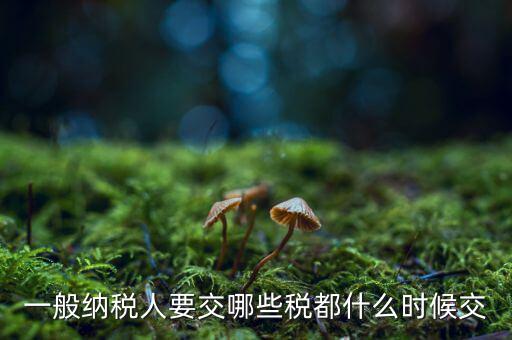 一般納稅人什么時(shí)候交稅，一般納稅人 普通發(fā)票開具后多長時(shí)間繳稅