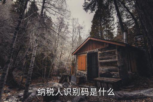 稅務(wù)識(shí)別碼有什么用，納稅人識(shí)別碼是什么