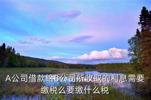 借款利息交什么稅，A公司借款給B公司所收取的利息需要繳稅么要繳什么稅