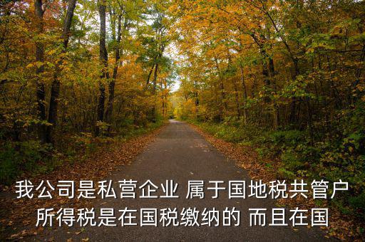 國(guó)地共管需要叫什么稅，國(guó)稅地稅共管公司都需要每個(gè)月報(bào)稅嗎意思就是說(shuō)我每個(gè)月地稅