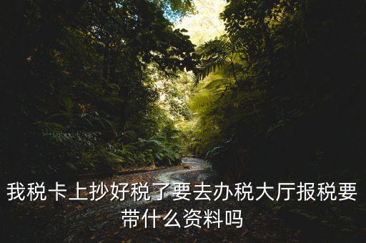 報(bào)稅廳抄報(bào)需要帶什么資料，抄稅需要帶些什么資料