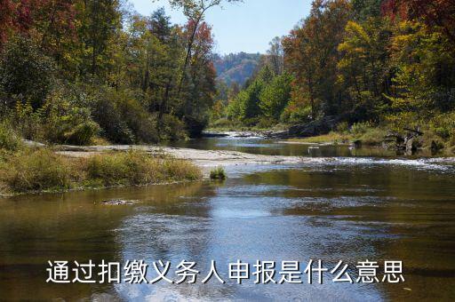 通過扣繳義務(wù)人申報(bào)是什么意思