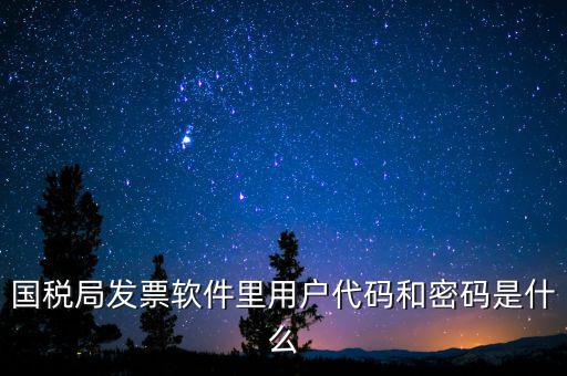 登錄稅務(wù)開票密碼是什么，國稅第一次網(wǎng)上申報(bào)的登陸密碼是什么