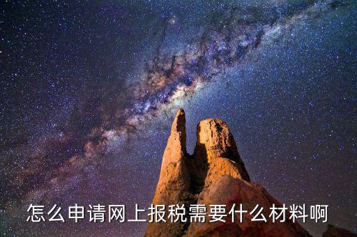網(wǎng)上國稅報稅需要什么資料，怎么申請網(wǎng)上報稅需要什么材料啊