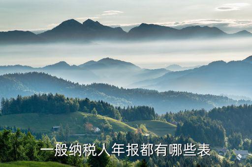 國稅年報是什么表，年報是指哪些報表是112月的嗎