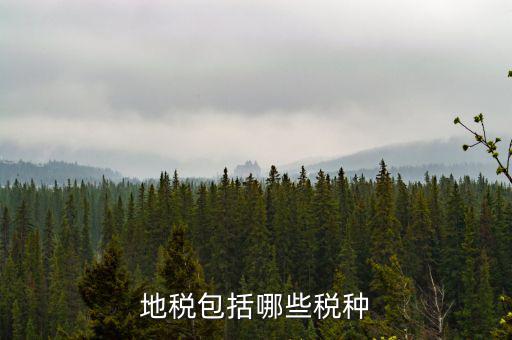 地稅包括什么，地稅包括哪些稅種
