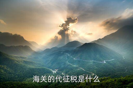 海關(guān)的代征稅是什么