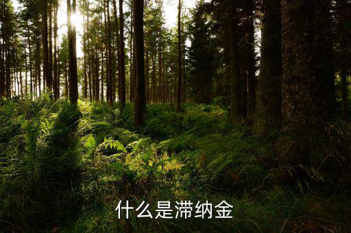 稅務(wù)局的滯納金是什么，個(gè)人所得稅滯納金是什么阿我交稅得單子上有