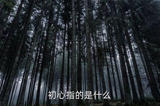 稅務(wù)人 初心是什么，納稅人意識是什么謝謝