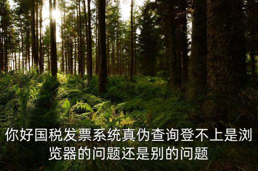 新疆國稅發(fā)票查詢?yōu)槭裁催M不去，為什么國稅官網(wǎng)中電子發(fā)票查詢打不開