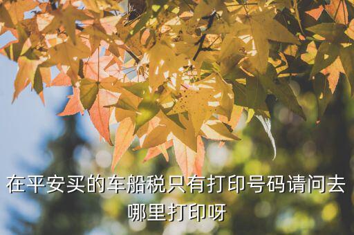 車船稅打印碼是什么，在平安買的車船稅只有打印號碼請問去哪里打印呀