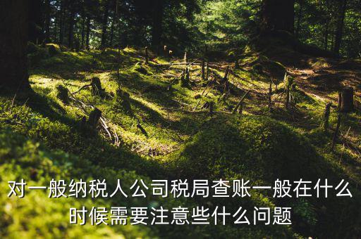 一般地稅稽查會(huì)在什么時(shí)候，稅務(wù)局什么時(shí)候會(huì)查賬不申報(bào)有哪些后果