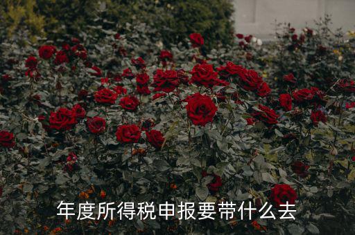 納稅申報(bào)應(yīng)帶什么東西，你好 到稅務(wù)局報(bào)稅需要帶什么東西怎么報(bào)