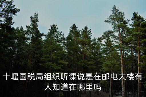 十堰國(guó)稅六辦指什么地方，十堰國(guó)稅局組織聽(tīng)課說(shuō)是在郵電大樓有人知道在哪里嗎