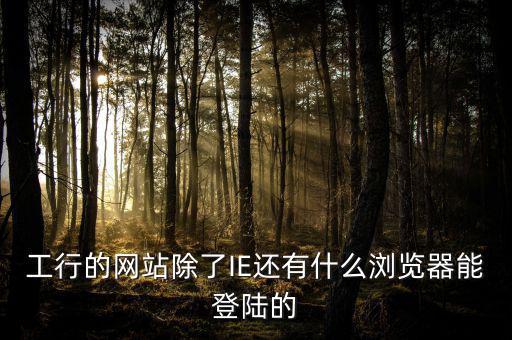 開(kāi)票登陸的瀏覽器是什么，工行的網(wǎng)站除了IE還有什么瀏覽器能登陸的