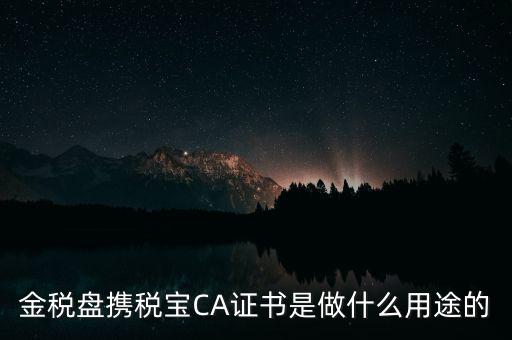 企業(yè)ca證書有什么用，財(cái)悠悠CA數(shù)字證書有什么作用對于企業(yè)可以起到什么作用