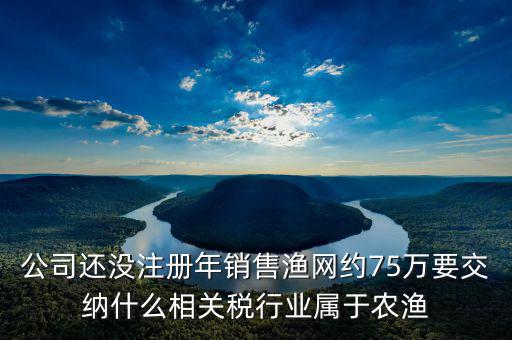 公司還沒注冊(cè)年銷售漁網(wǎng)約75萬要交納什么相關(guān)稅行業(yè)屬于農(nóng)漁