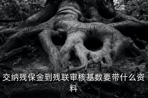 去稅務(wù)申報(bào)殘保金帶什么資料，去地稅交殘疾人保障金需要什么資料
