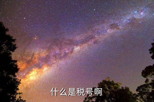 公司稅號是什么，公司的稅號一般有多少位