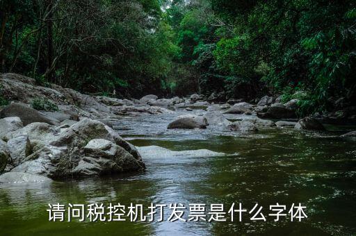 發(fā)票用什么字體，請問稅控機打發(fā)票是什么字體
