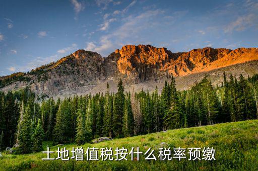 山東省土地增值稅按什么預繳，山東文登市土地增值稅預繳稅率是多少