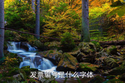 發(fā)票上的號(hào)碼是什么字體，發(fā)票編號(hào)是什么字體