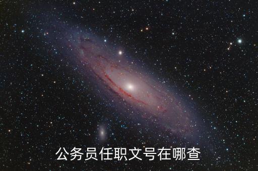 什么地方可以查任職文號(hào)，公務(wù)員任職文號(hào)在哪查