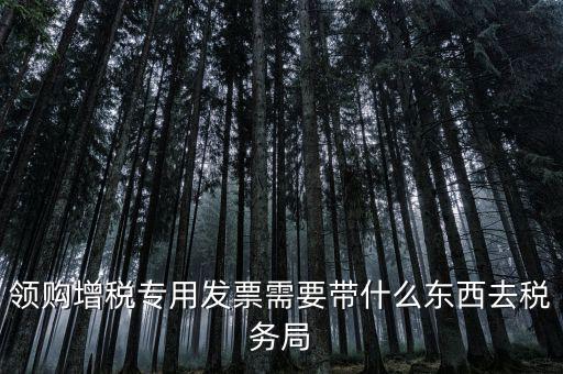 領(lǐng)專(zhuān)票帶什么資料，去稅務(wù)局領(lǐng)發(fā)票需要帶什么資料去