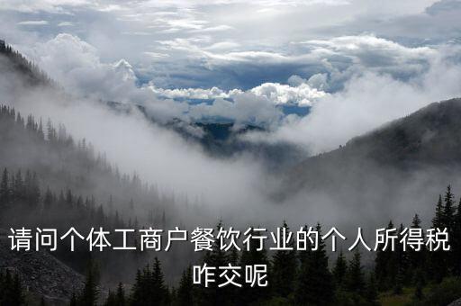 請(qǐng)問個(gè)體工商戶餐飲行業(yè)的個(gè)人所得稅咋交呢