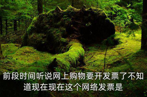 網(wǎng)絡發(fā)票是什么，在網(wǎng)上買東西電子發(fā)票與普通發(fā)票有區(qū)別嗎