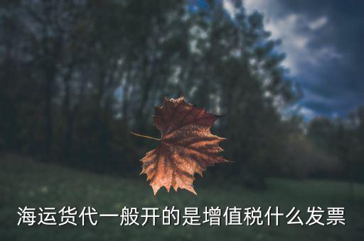 貨運代理開什么票，海運貨代一般開的是增值稅什么發(fā)票