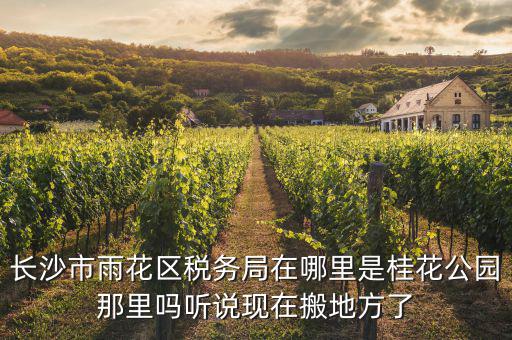 長(zhǎng)沙國(guó)稅局在什么地方，長(zhǎng)沙國(guó)稅局在哪