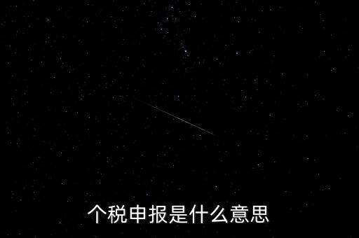 個稅申報是什么意思