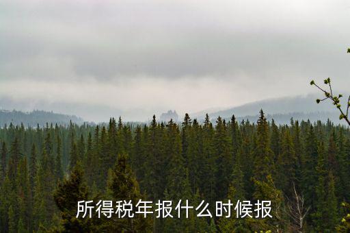 國稅企業(yè)所得稅年報什么時候開始報，什么時間報企業(yè)所得稅年度納稅