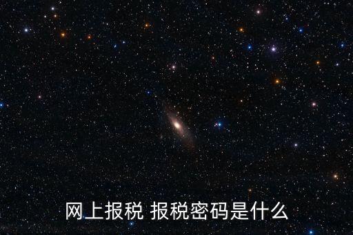 網(wǎng)上報稅 報稅密碼是什么