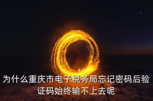 重慶電子稅務(wù)局什么時(shí)間開始，重慶渝北區(qū)地稅局就是一支路那個(gè)的作息時(shí)間是幾點(diǎn)到幾點(diǎn)啊