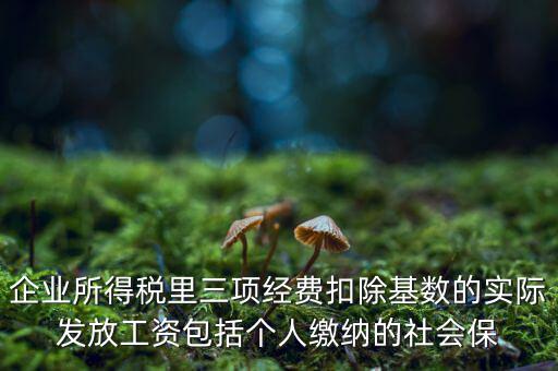 企業(yè)所得稅扣除基數(shù)指什么，企業(yè)所得稅里三項經(jīng)費扣除基數(shù)的實際發(fā)放工資包括個人繳納的社會保