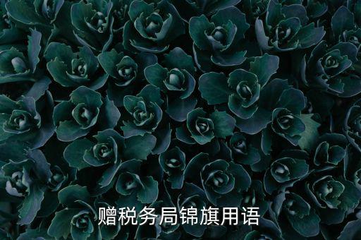 贈(zèng)送稅務(wù)所錦旗寫什么，贈(zèng)稅務(wù)局錦旗用語(yǔ)