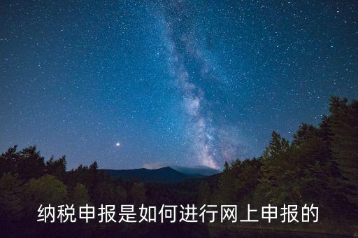 納稅人的網(wǎng)上申報屬于什么方式，網(wǎng)上申報屬于